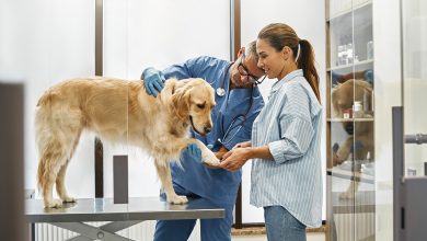 Photo of Опытные специалисты по уходу за животными