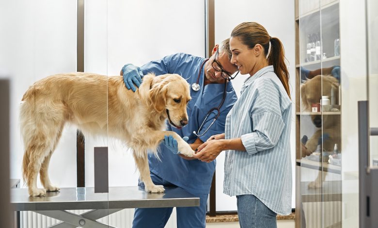 Photo of Опытные специалисты по уходу за животными