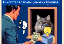 Photo of Лучшие врачи для вашего питомца